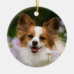 Adorno De Cerámica Papillon Dog Romántico Retrato Cuto
