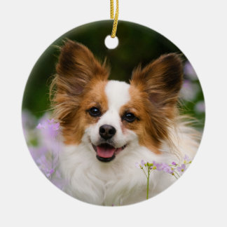 Adorno De Cerámica Papillon Dog Romántico Retrato Cuto
