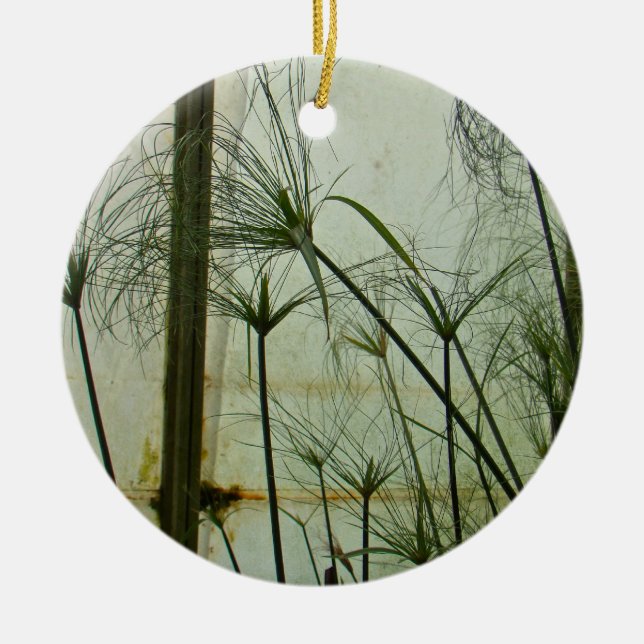 Adorno De Cerámica Papiro (Frente)