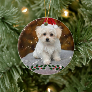 Adorno De Cerámica Papúa maltesa celebra a Navidades