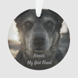 Adorno de cerámica para foto de memorial de perro