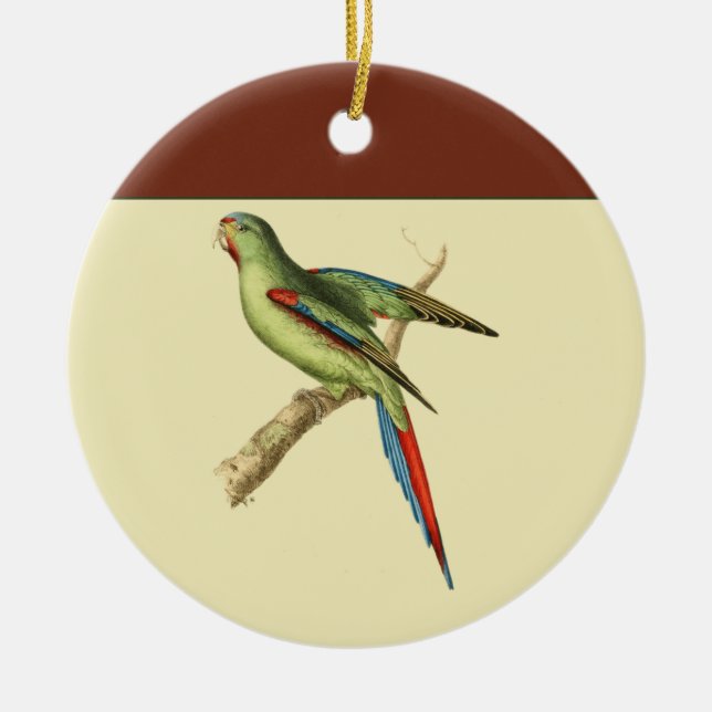 Adorno De Cerámica Parakeet (Frente)