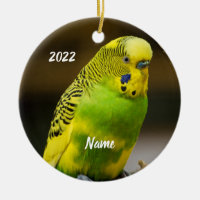 Parakeet de Budgie en inglés personalizado