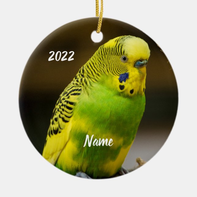 Adorno De Cerámica Parakeet de Budgie en inglés personalizado (Frente)