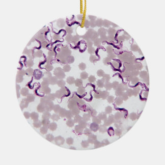 Adorno De Cerámica Parásito Trypanosoma de la sangre