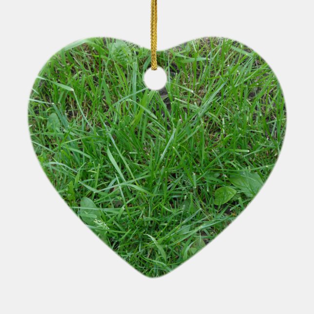 Adorno De Cerámica Parche de hierba (Atrás)