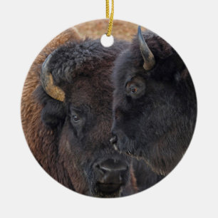 Adorno De Cerámica Pares consolidados majestuosos del bisonte