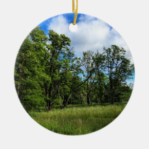 Adorno De Cerámica Parque Estatal Champoeg, Oregón