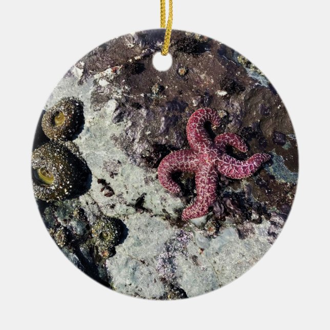 Adorno De Cerámica Parque Estatal Sisters Rock, Costa de Oregón (Frente)