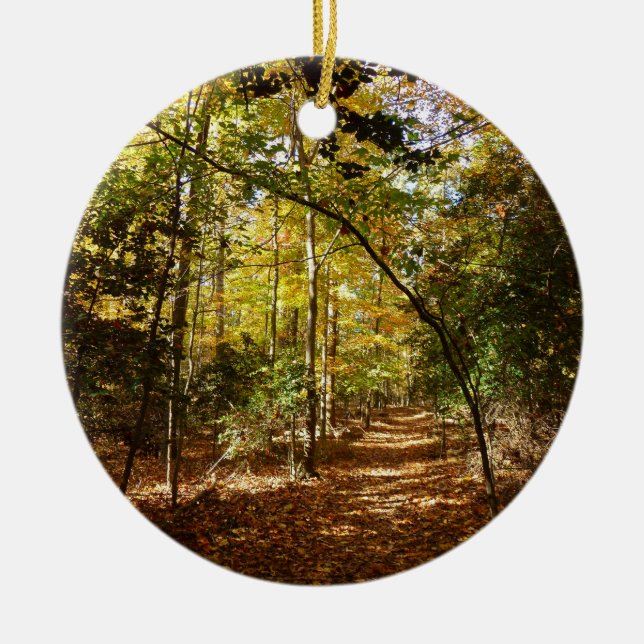 Adorno De Cerámica Parque Greenbelt en el paisaje del otoño I de Mary (Frente)