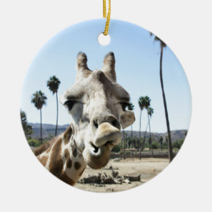 Adorno De Cerámica Parque zoológico de San Diego