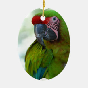 Adorno De Cerámica parrot-63.jpg