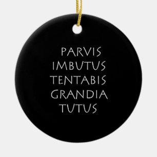 Adorno De Cerámica Parvis imbutus tentabis grandia tutus