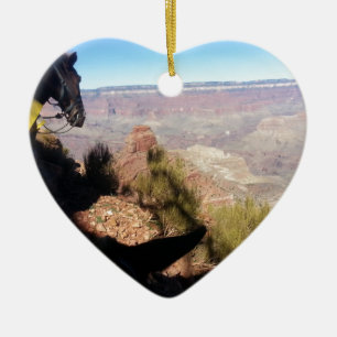 Adorno De Cerámica Paseo del sur de la mula del parque nacional del