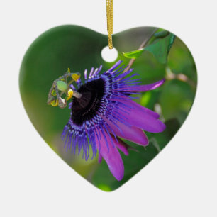 Adorno De Cerámica Pasionaria (Passiflora)