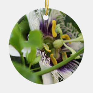 Adorno De Cerámica Passion Flower Closeup