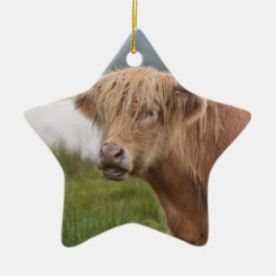 Adorno De Cerámica Pasto de la vaca de la montaña