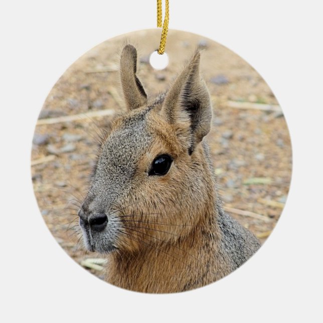 ADORNO DE CERÁMICA PATAGONIAN MARA (Frente)
