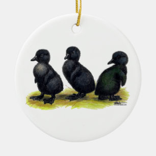 Adorno De Cerámica Patitos de Cayuga negra