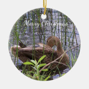 Adorno De Cerámica Pato acicalándose entre los juncos