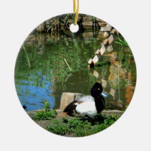 Adorno De Cerámica pato goldeneye en el estanque