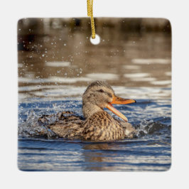 Adorno De Cerámica Pato Mallard en Downing Park