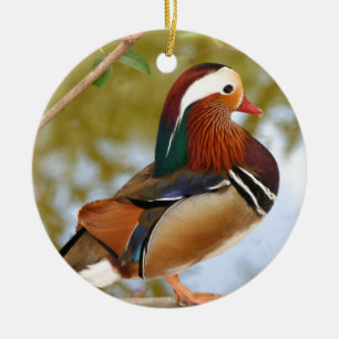 Adorno De Cerámica Pato Mandarin