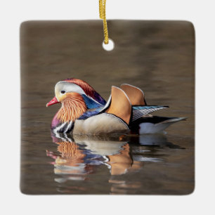 Adorno De Cerámica Pato Mandarin
