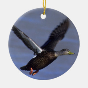 Adorno De Cerámica Pato negro del vuelo
