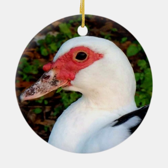 Adorno De Cerámica Pato negro y blanco Muscovy Hen (Atrás)