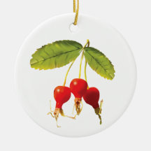 Patrón 3 de Rosehips