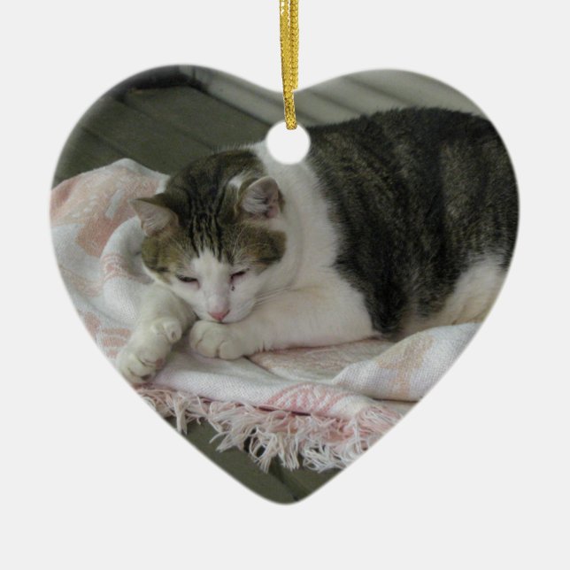 Adorno De Cerámica Paul (Frente)