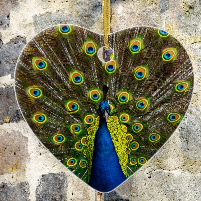 Adorno De Cerámica Pavo de mar colorido (Subido por el creador)