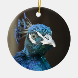 Adorno De Cerámica pavo real