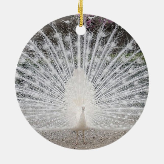 Adorno De Cerámica pavo real blanco (Atrás)