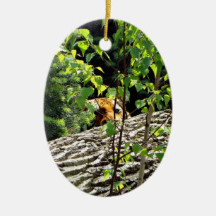 Adorno De Cerámica Peekaboo Ornamnet del tigre