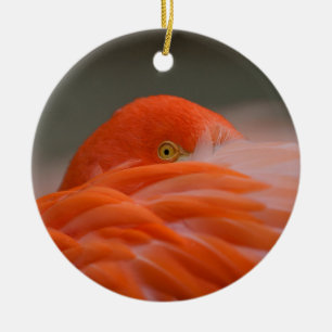 Adorno De Cerámica Peeking Flamingo