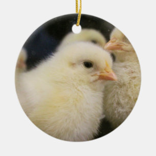 Adorno De Cerámica Peeps