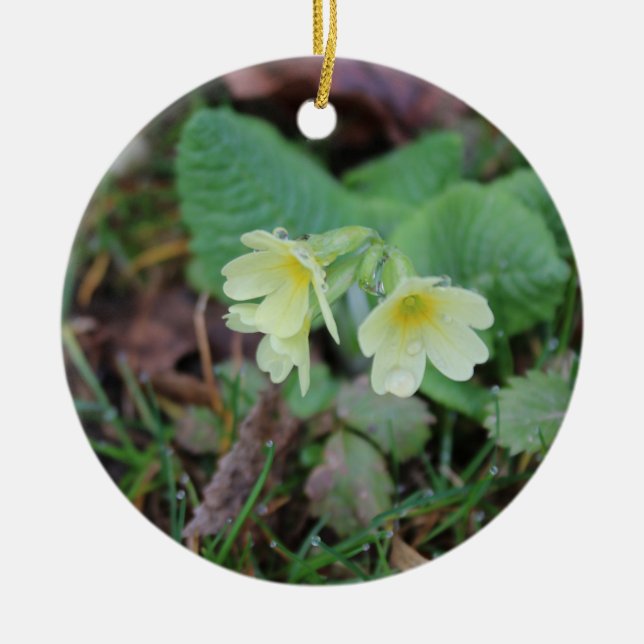 Adorno De Cerámica Pendor de diseño natural (Frente)