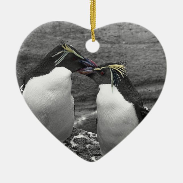 Adorno De Cerámica Penguin Colour Splash (Frente)