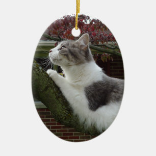 Adorno De Cerámica Pensamientos del gato