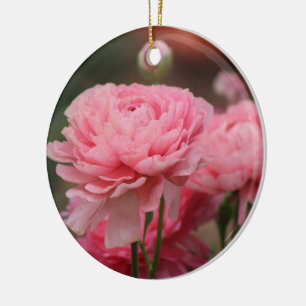 Adorno De Cerámica Peony Pink Ranunculus Closeup