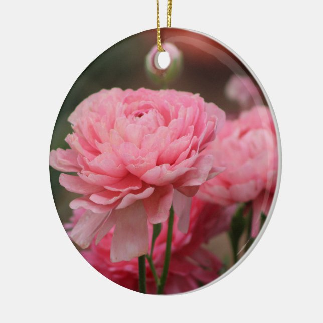 Adorno De Cerámica Peony Pink Ranunculus Closeup (Izquierda)