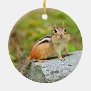 Adorno De Cerámica Pequeño Chipmunk lindo que presenta en una roca