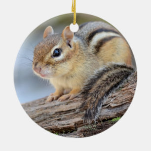 Adorno De Cerámica Pequeño Chipmunk simplemente adorable