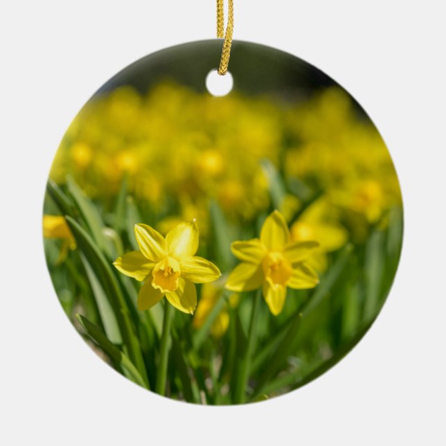 Adorno De Cerámica Pequeños Daffodils (Frente)