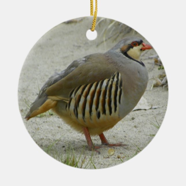 Adorno De Cerámica Perdiz de Chukar (Frente)