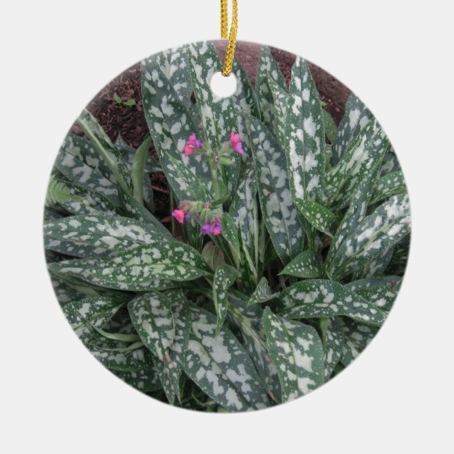Adorno De Cerámica Perennial de Pulmonaria - de Lungwort (Frente)