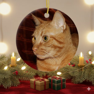 Adorno De Cerámica Perfil de Cara de Gato Atigrado Naranja