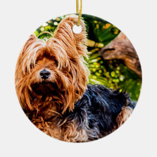 Adorno De Cerámica Perrito Adorable Mascota Yorkie Paz Amor Destino D